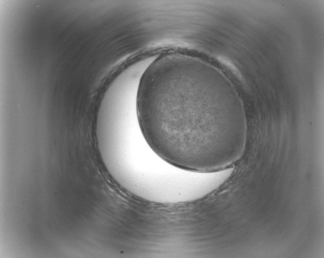 X0000071850872200607072259