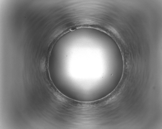 X0000071850873200607072259