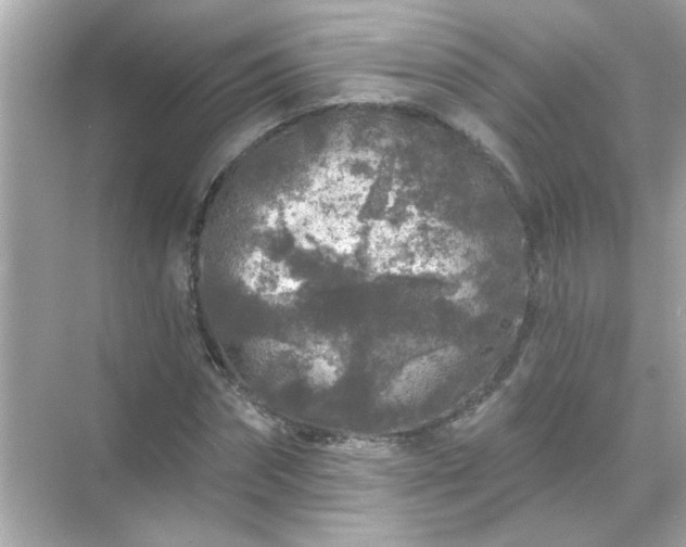 X0000071850874200607072259