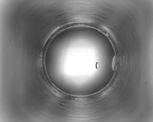 X0000071850875200607072259