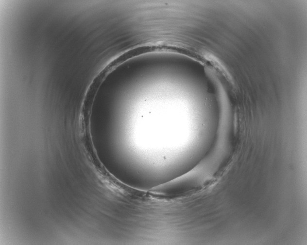 X0000071850876200607072259