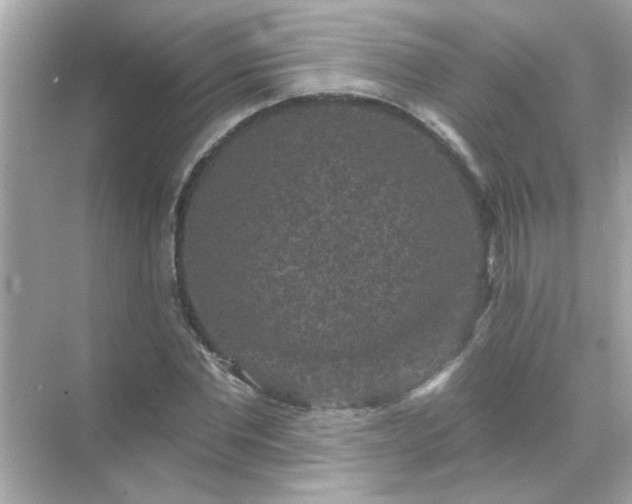 X0000071850877200607072259