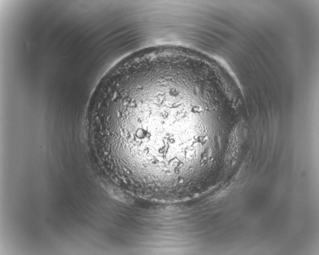 X0000071850879200607072259