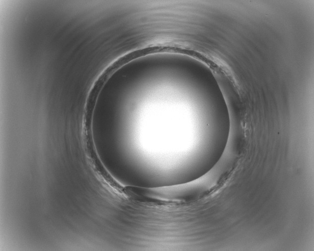 X0000071850880200607072259