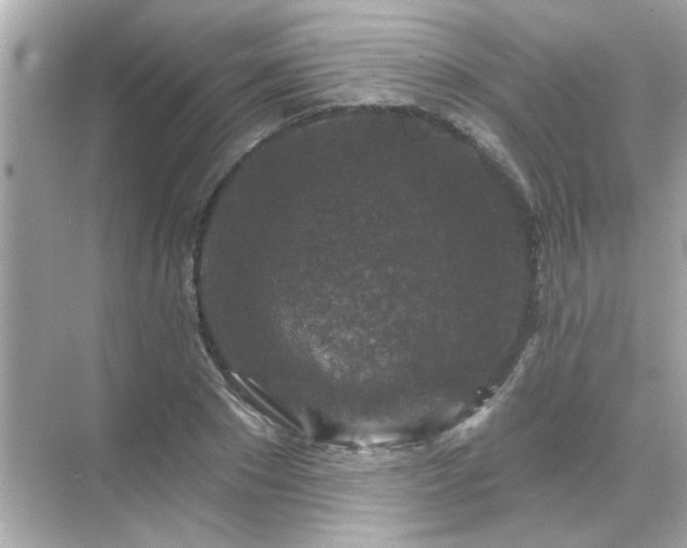 X0000071850881200607072258