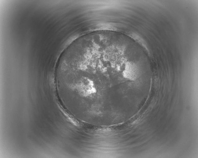 X0000071850882200607072258