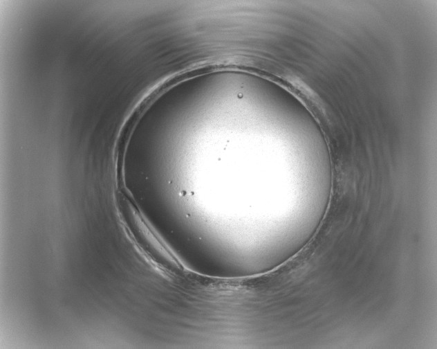 X0000071850886200607072258