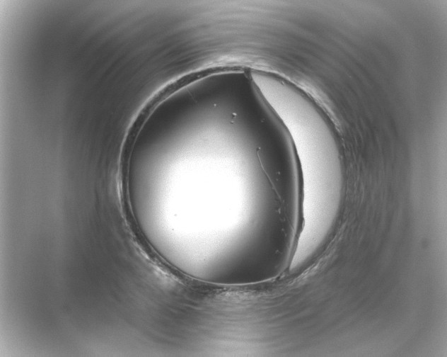 X0000071850888200607072258