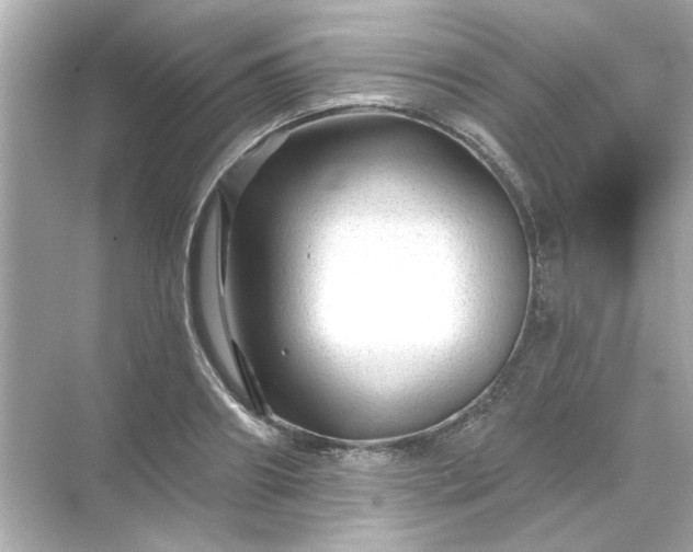 X0000071850890200607072258