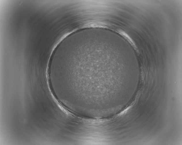 X0000071850893200607072258