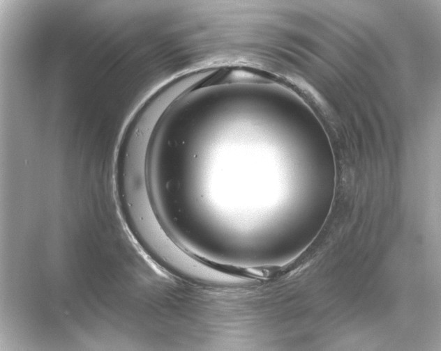 X0000071850894200607072258