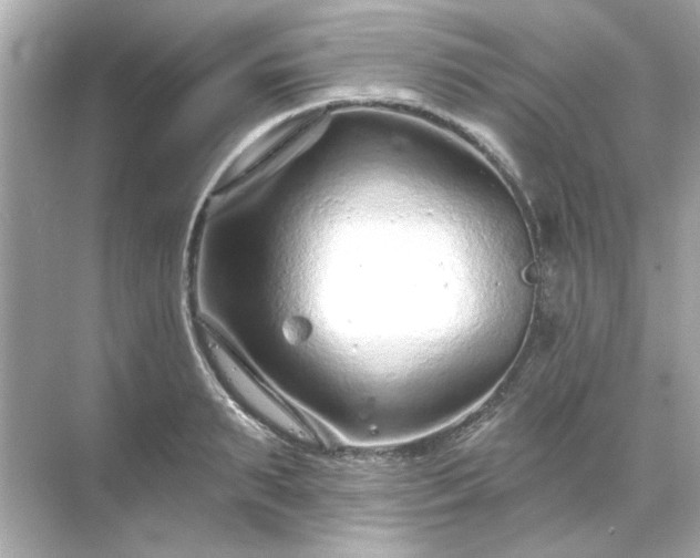 X0000071850895200607072258