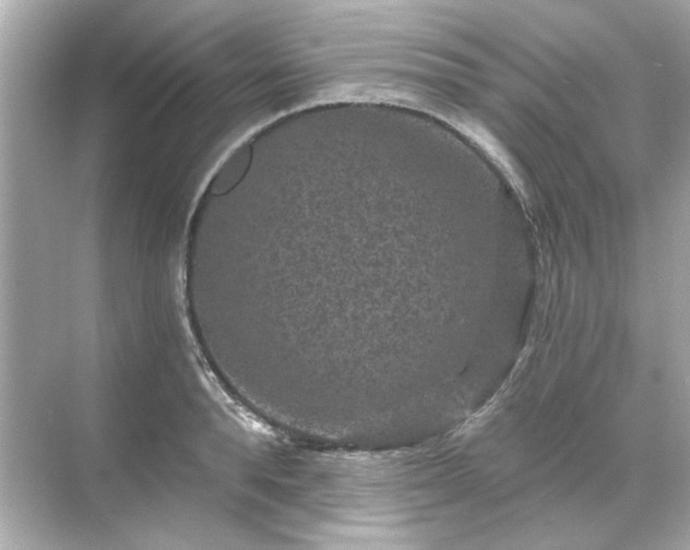 X0000071850896200607072258