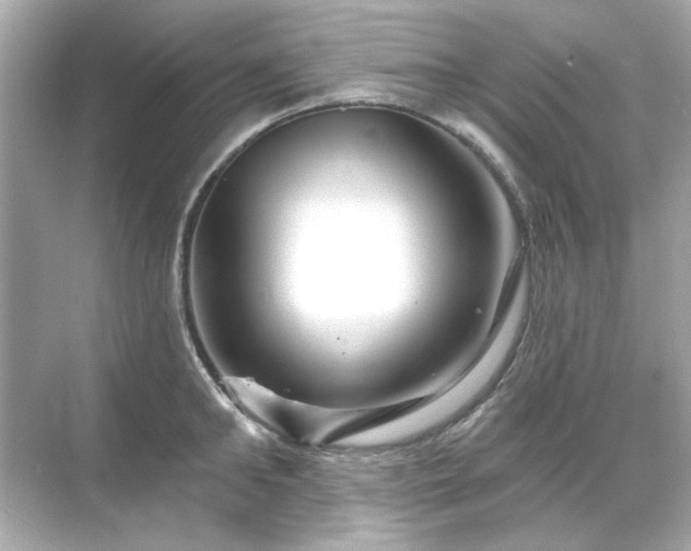 X0000071850902200607072258