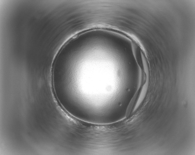 X0000071850903200607072258