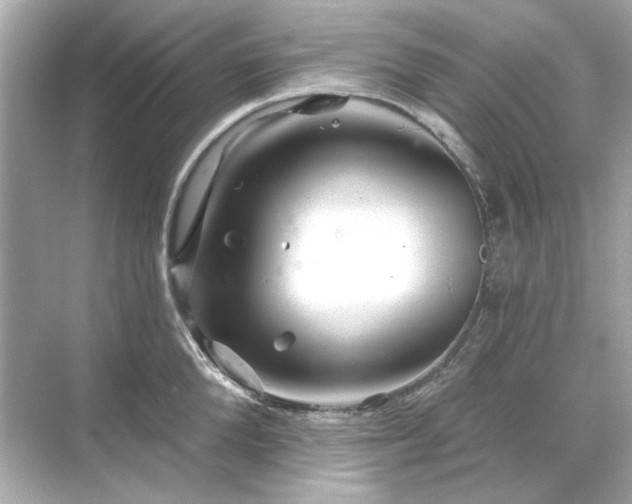 X0000071850904200607072258