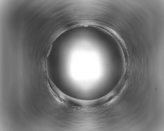 X0000071850905200607072258