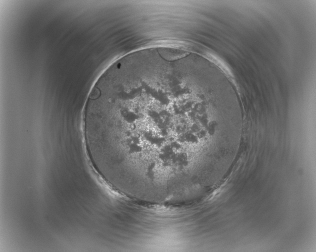 X0000071850907200607072258