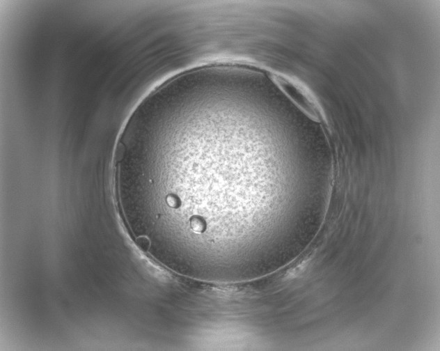 X0000071850911200607072258