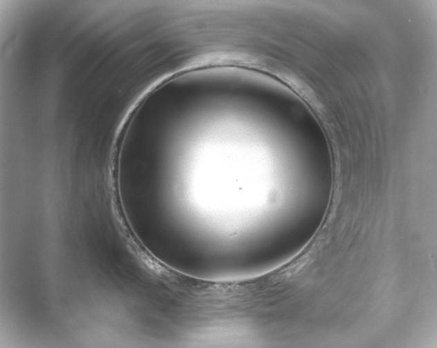 X0000071850912200607072258