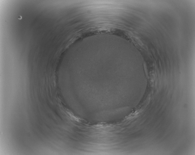 X0000071850916200607072257