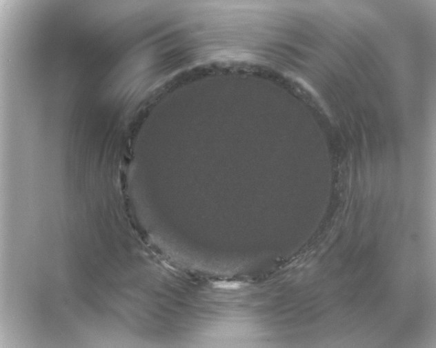 X0000071850919200607072257