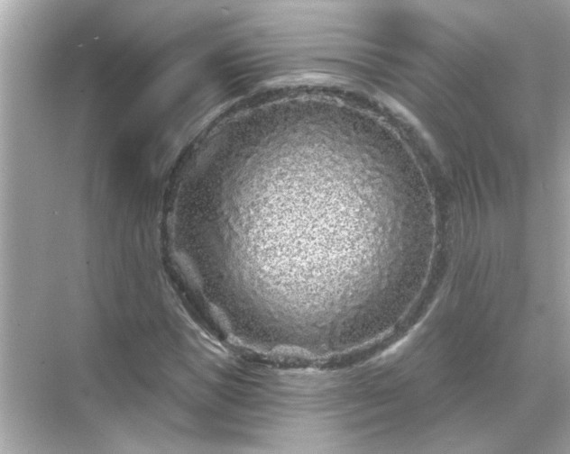 X0000071850921200607072257