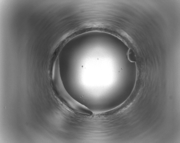 X0000071850922200607072257