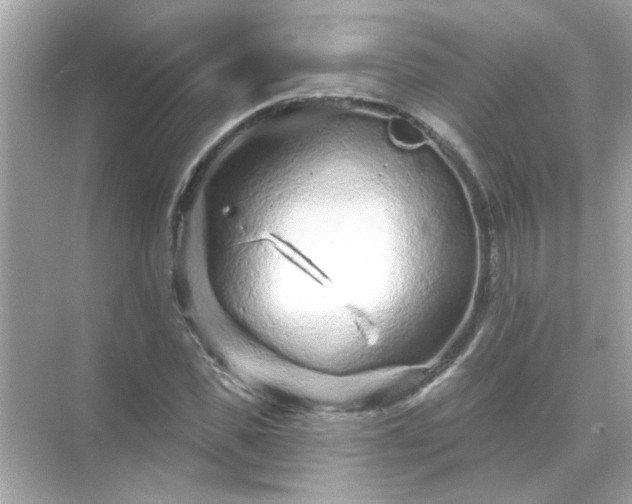 X0000071850925200607072257