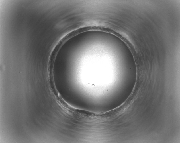 X0000071850927200607072257