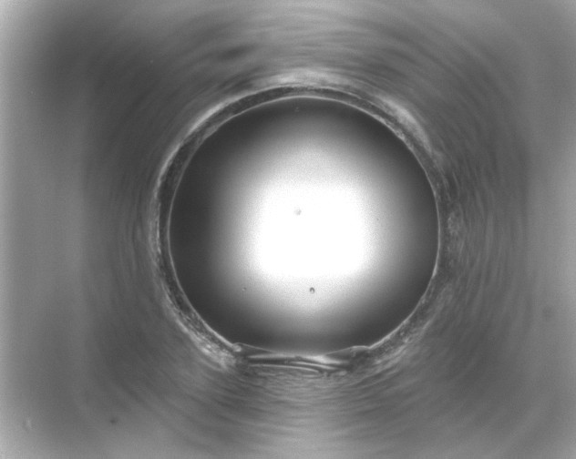 X0000071850931200607072257