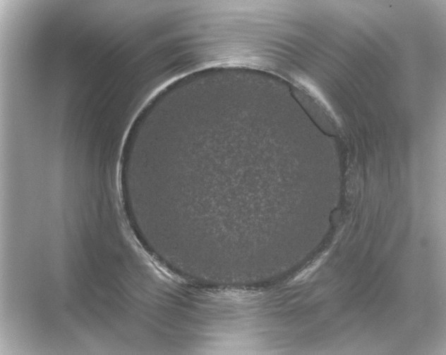 X0000071850932200607072257