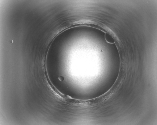 X0000071850937200607072258