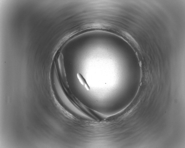 X0000071850938200607072258