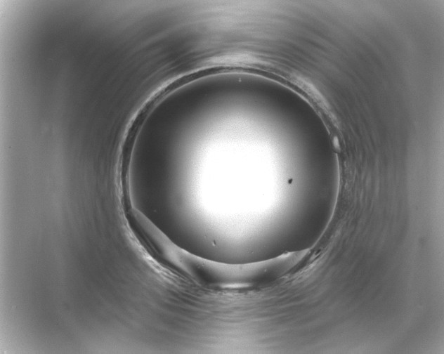 X0000071850939200607072258