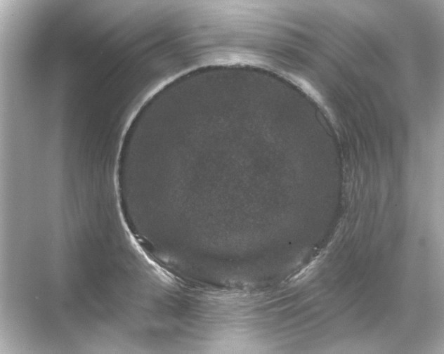 X0000071850943200607072258