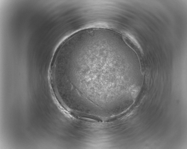 X0000071850944200607072258