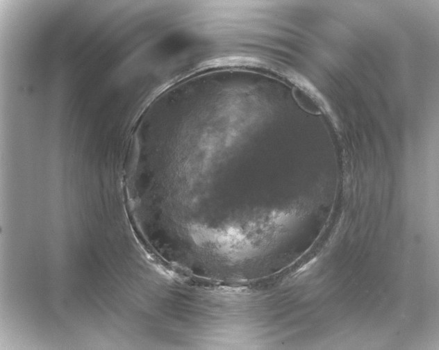 X0000071850945200607072258