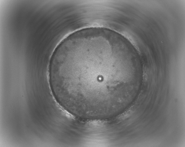 X0000071850950200607072258