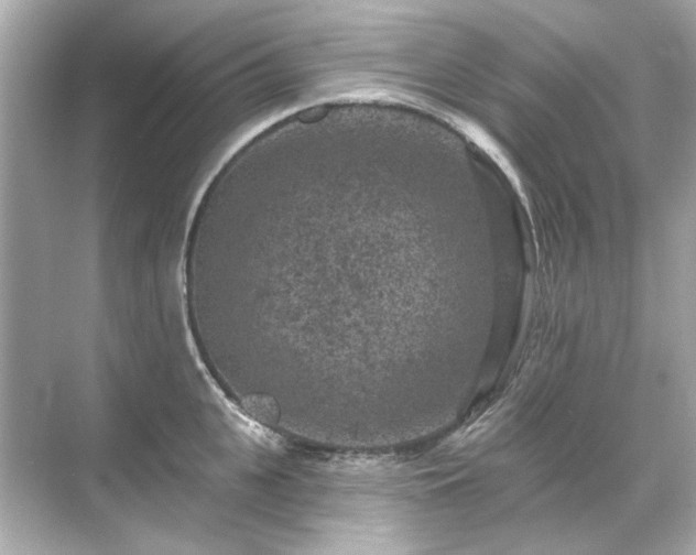 X0000071850951200607072258