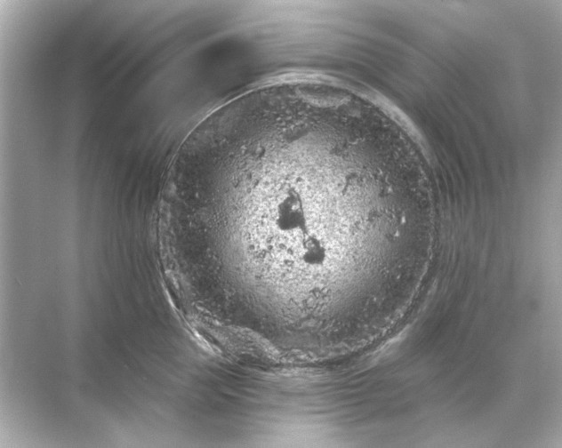 X0000071850953200607072258