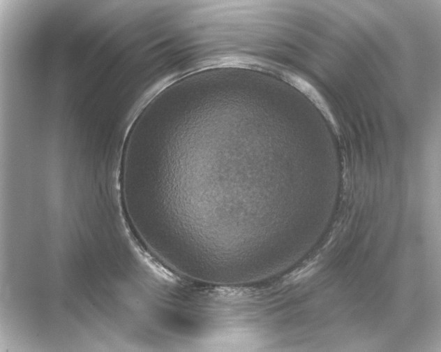 X0000071850954200607072258