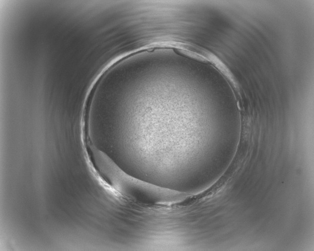 X0000071850955200607072258