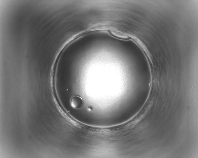 X0000071850957200607072258