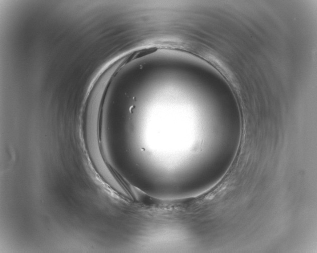 X0000071850960200607072258