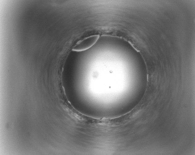 X0000071850961200607072257