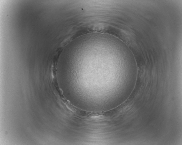 X0000071850962200607072257