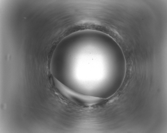 X0000071850965200607072257