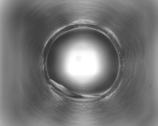 X0000071850973200607072257