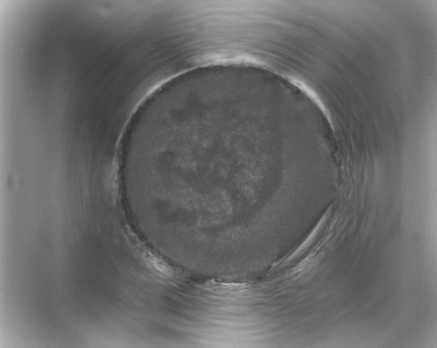 X0000071850975200607072257